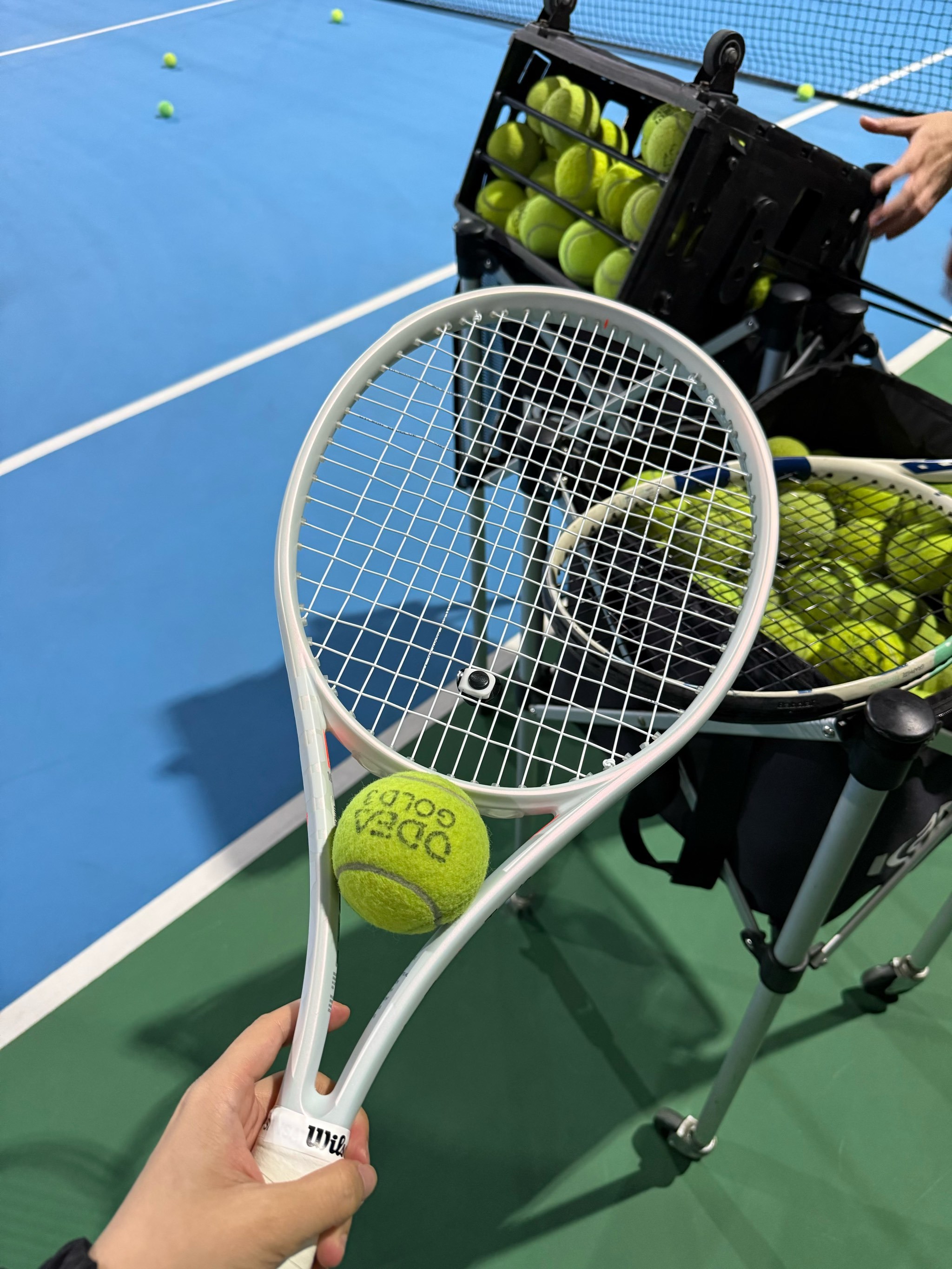 自从滕哈赫 自从滕哈赫