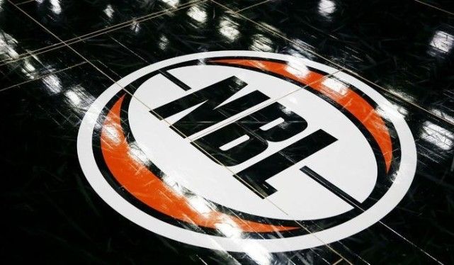 灯光与鸟群 灯光与鸟群